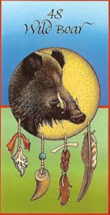 Wild Boar Medicine Card