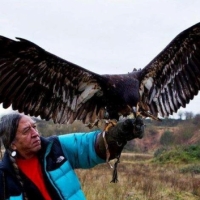 Eagle Medicine - Sacred Messengers of the Great Spirit