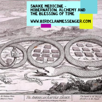Kitchen Party 2/12/21 - Snake Medicine, Cherokee Prophecy of the Rattlesnake, & Medicine Card Teachings