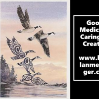 Goose Medicine - Caring for Creation