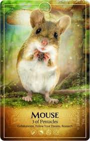 Mouse cute